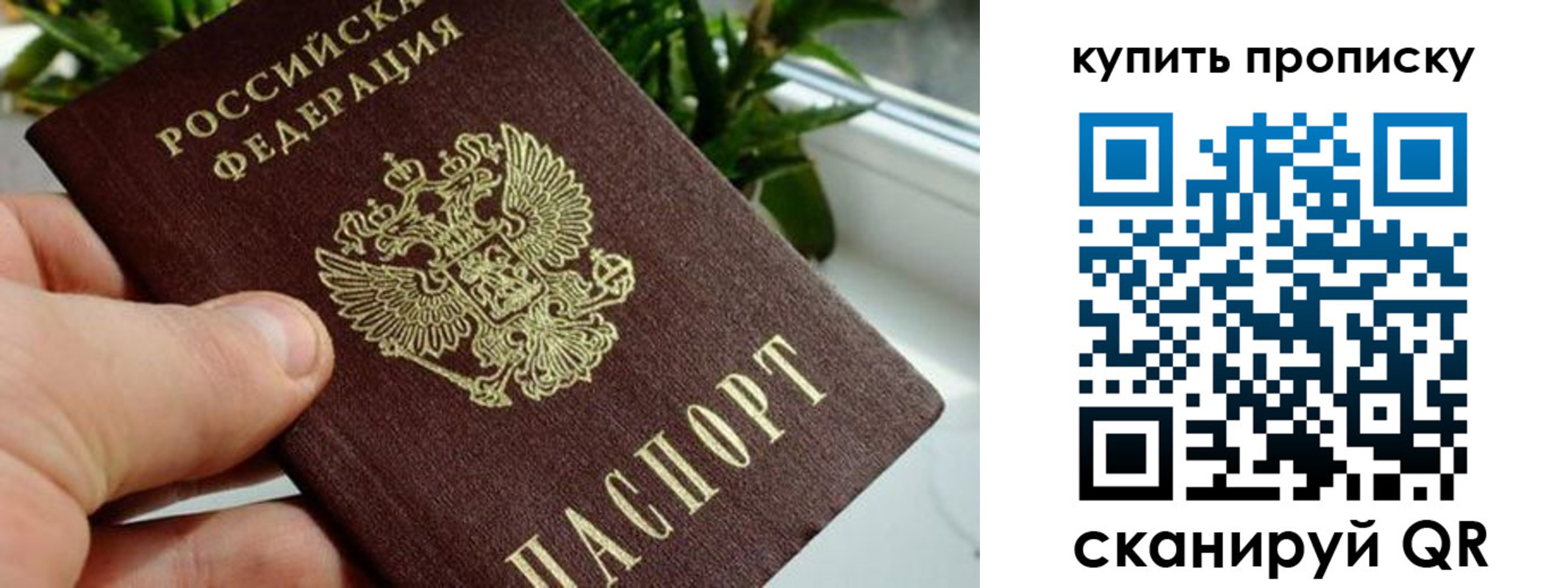 временная регистрация 2025 в Липецке